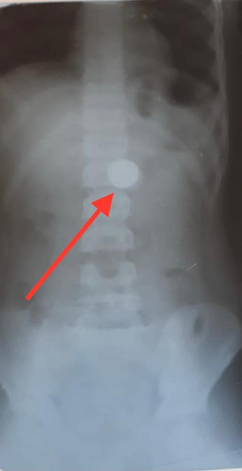 Фото: Facebook / Областная детская клиническая больница №1