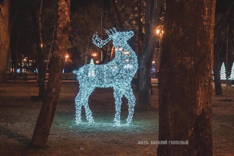 Новогодние олени: в саду Шевченко установили новую инсталляцию фото