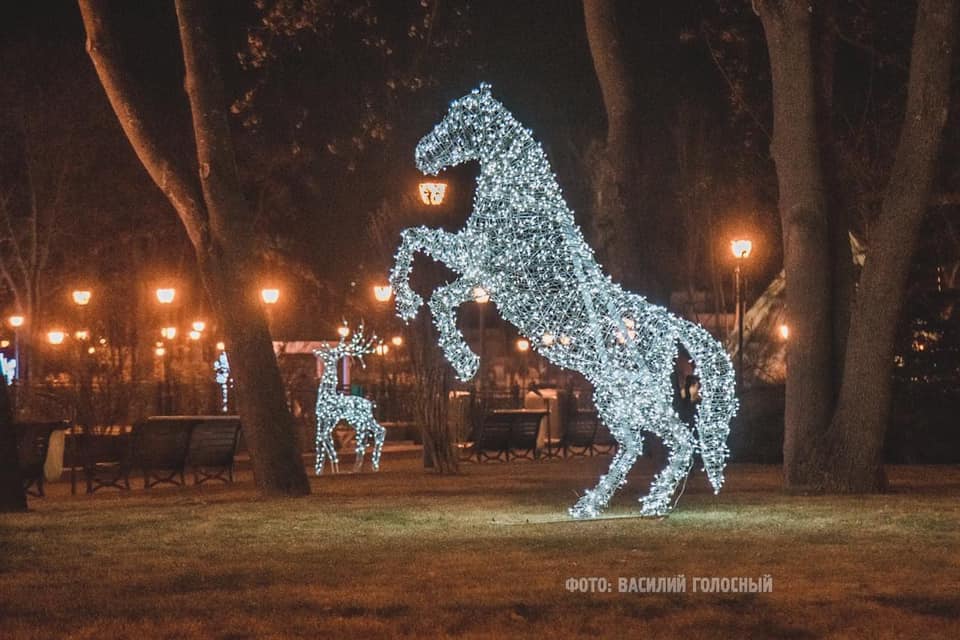 Новогодние олени: в саду Шевченко установили новую инсталляцию фото