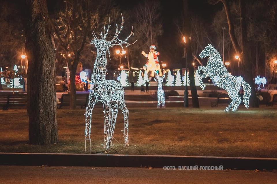 Новогодние олени: в саду Шевченко установили новую инсталляцию фото