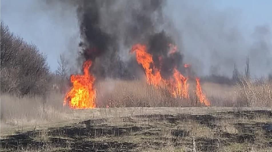 Фото: Віталій Сокол