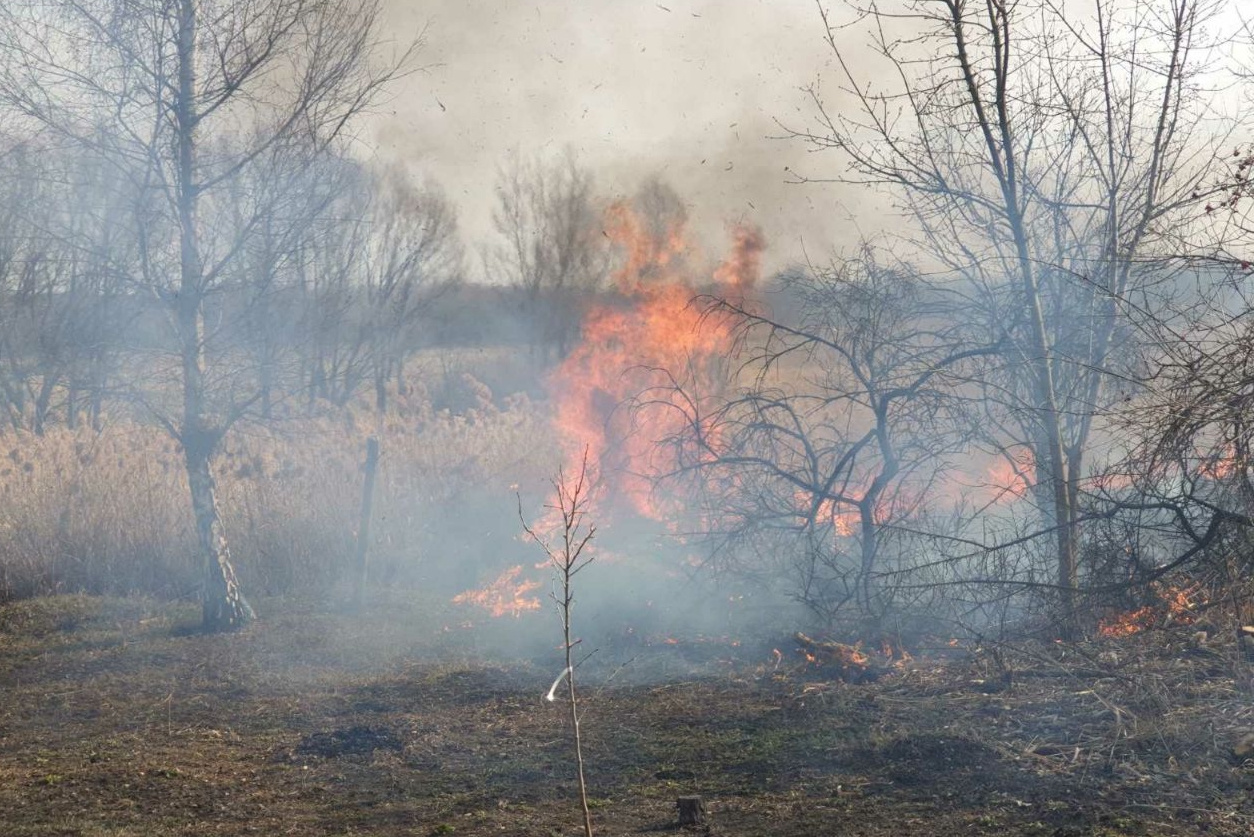 Фото: ГСЧС Украины в Харьковской области