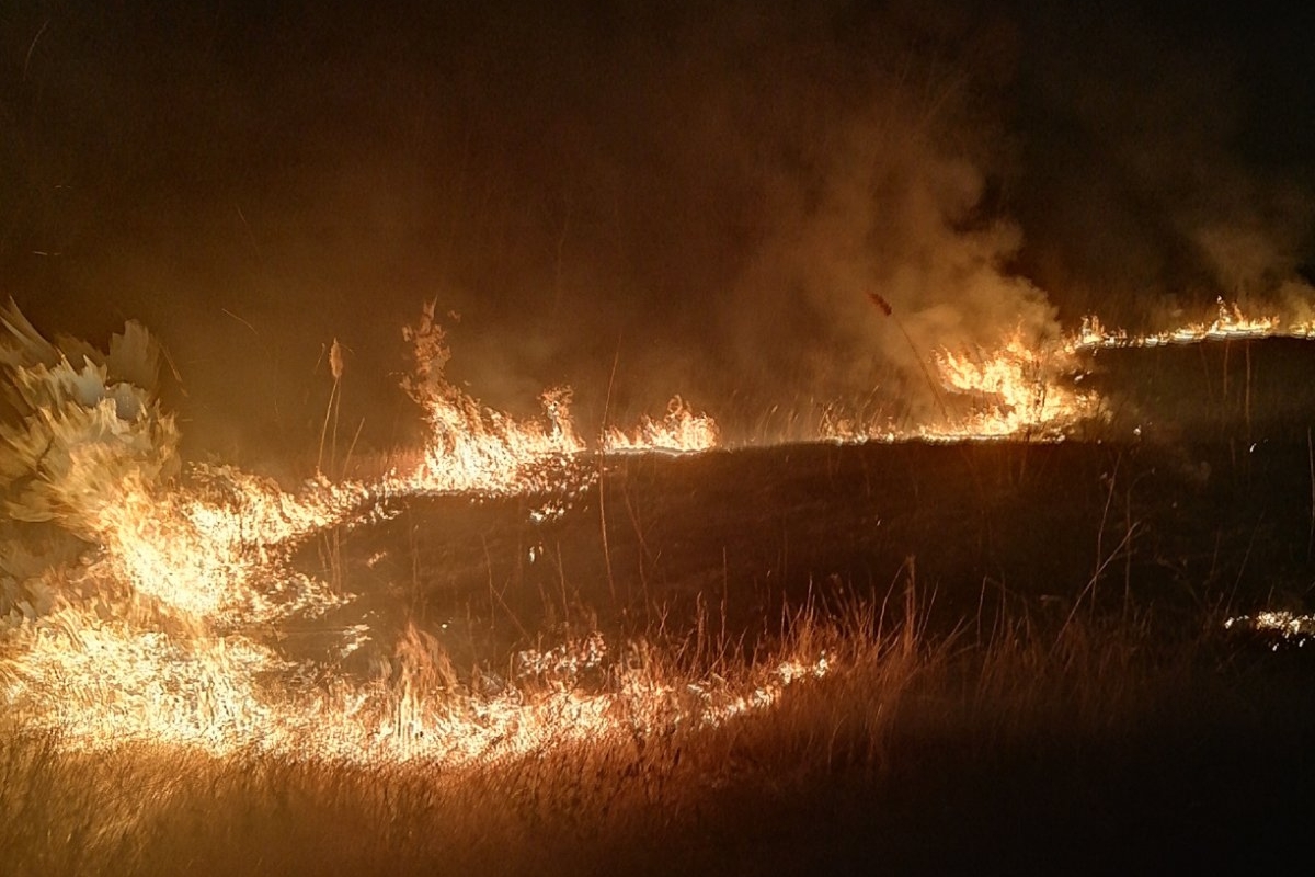 Фото: ГСЧС Украины в Харьковской области