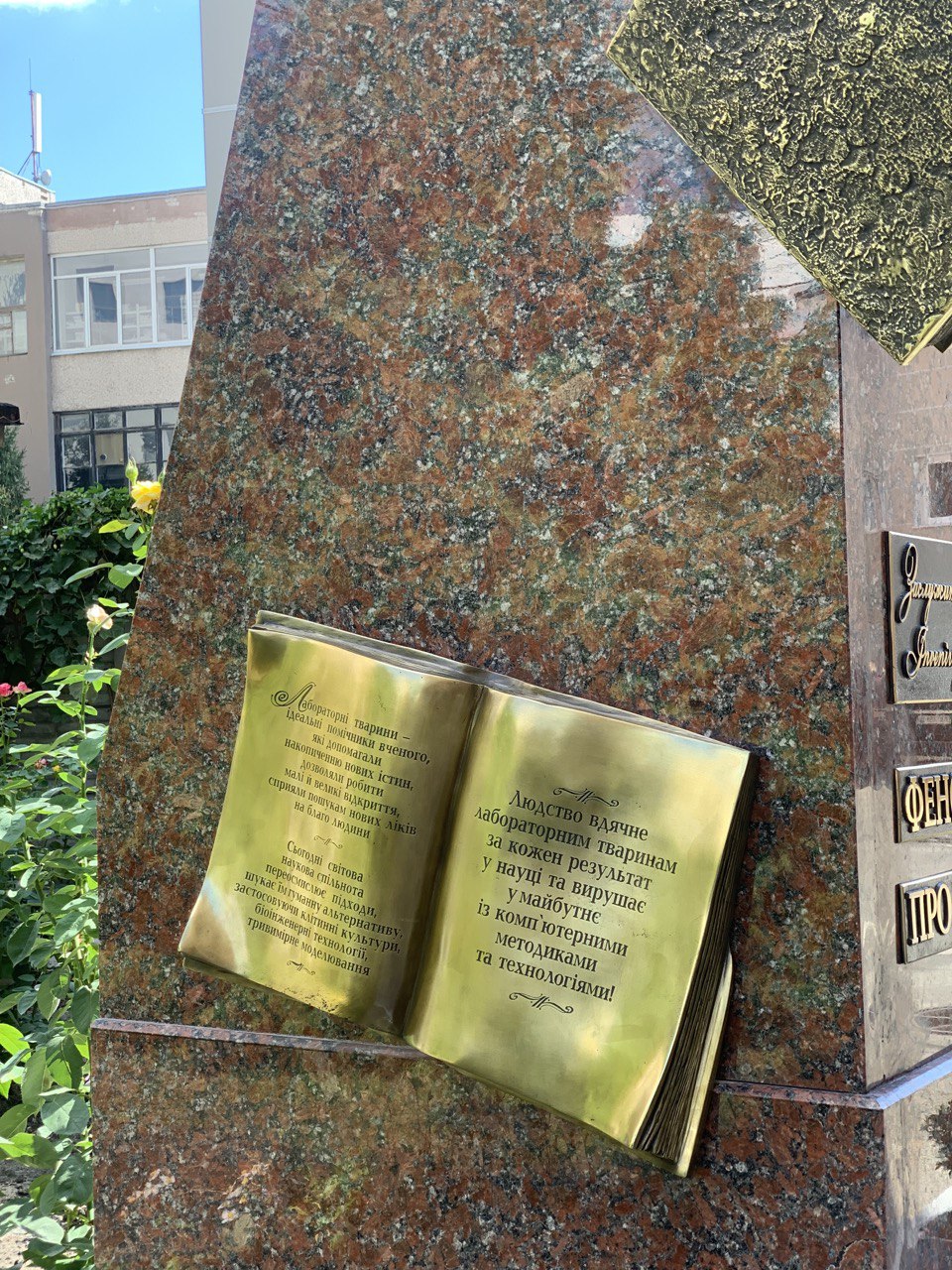 Из бронзы и с таблеткой: в Харькове установили памятник крысе фото 4 3