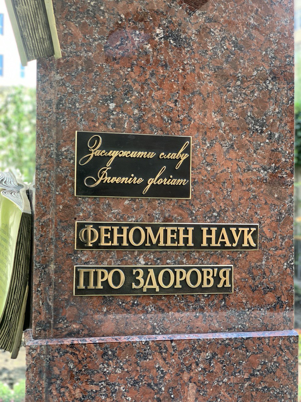 Из бронзы и с таблеткой: в Харькове установили памятник крысе фото 2 1