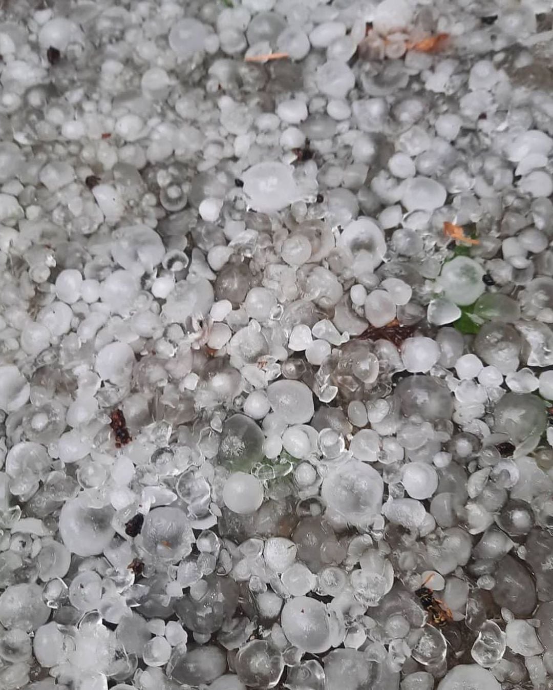 Фото: facebook.com/kharkivmeteo