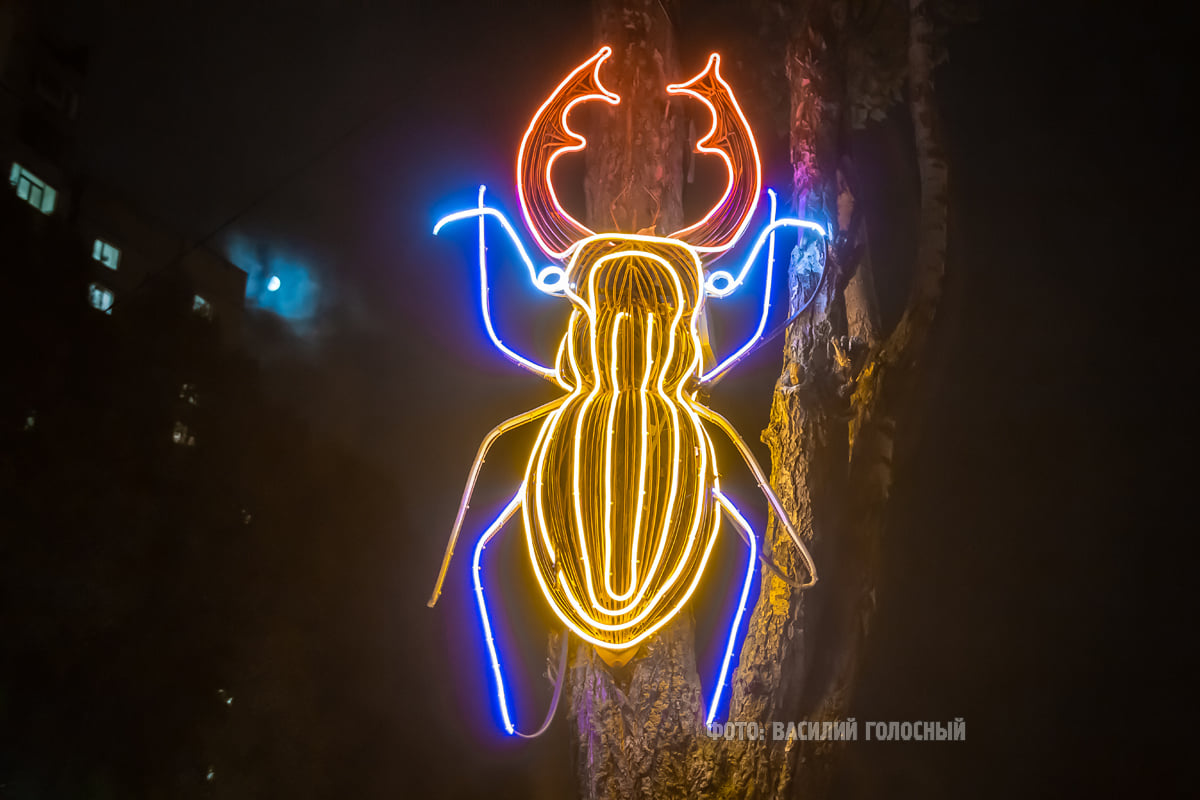 Фото Василия Голосного