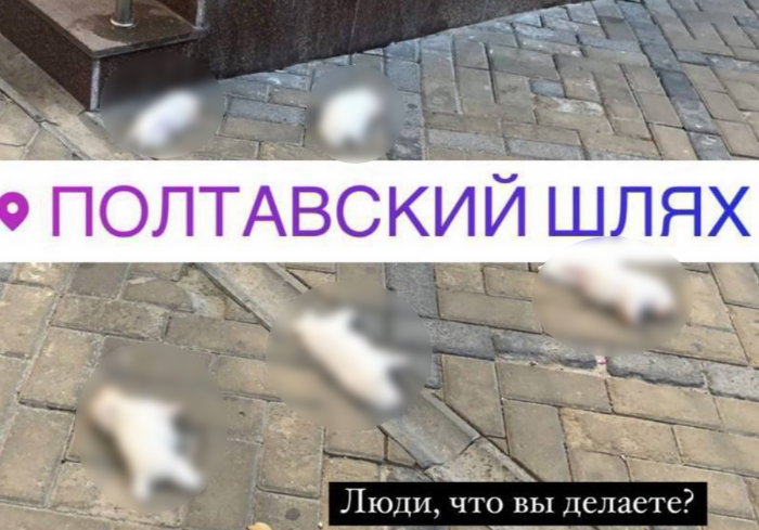 Фото: h_saltovka