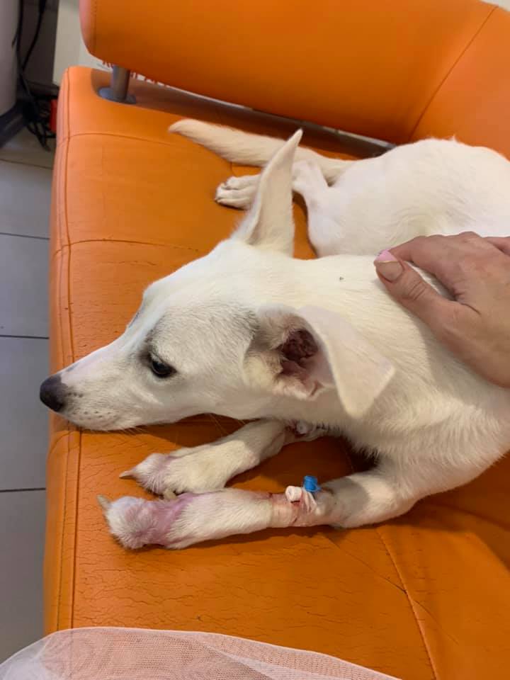 Фото: facebook.com/zakharova.mila