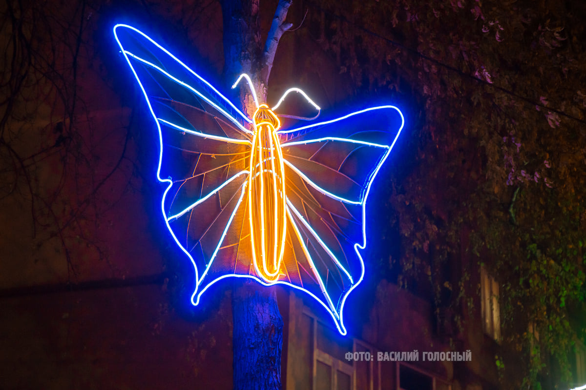 Фото Василия Голосного