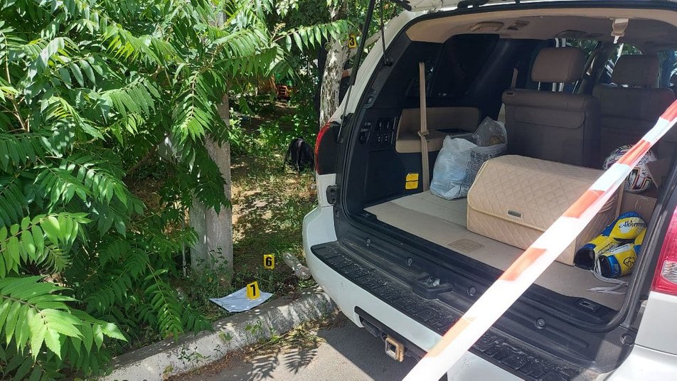 Фото: Дмитрий Гребинник