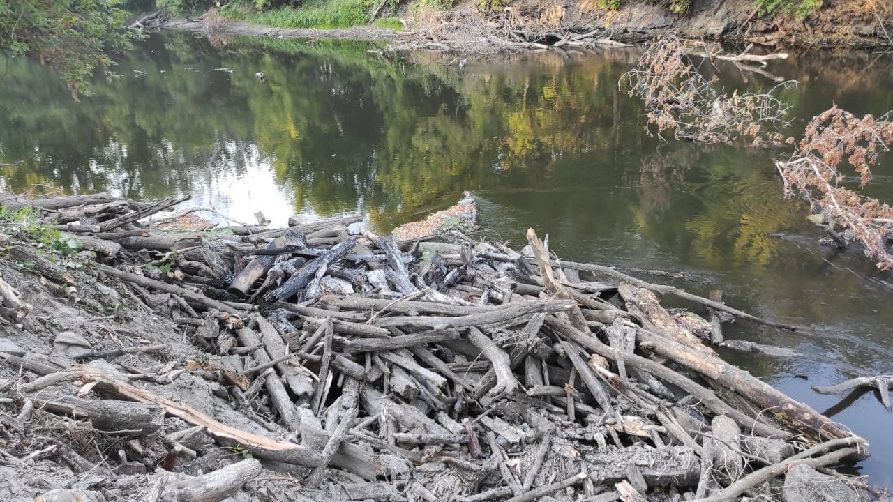 15 мусорных островов: экоактивисты расчистили реку Уды фото 10 9