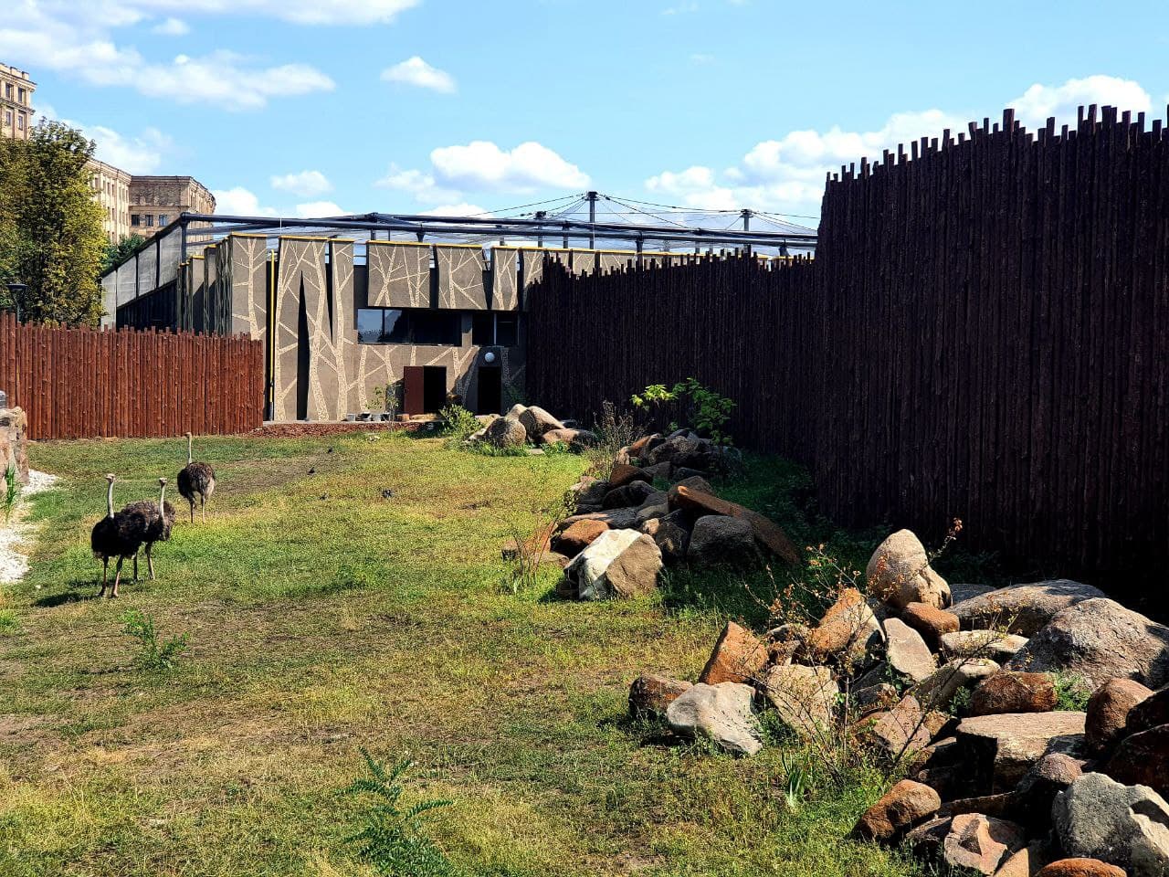 Смотри фото и видео: в Харькове открыли зоопарк после реконструкции фото 15 14