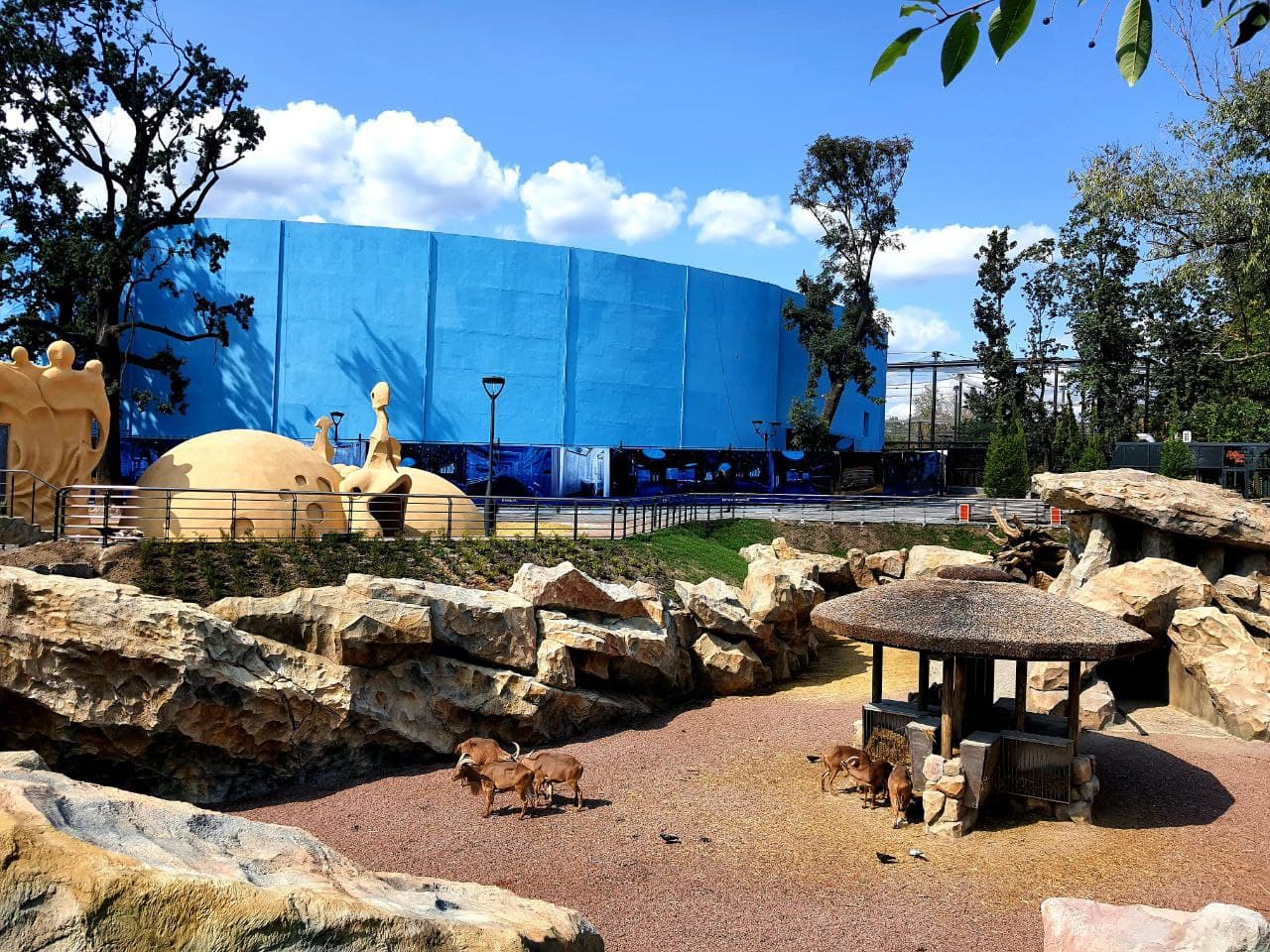 Смотри фото и видео: в Харькове открыли зоопарк после реконструкции фото 12 11