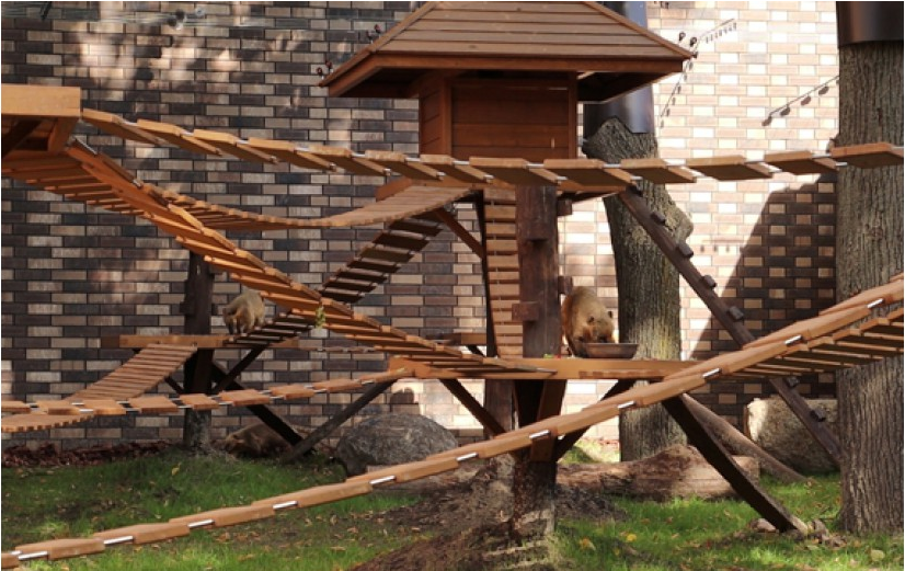 Видеофакт: в Харьковский зоопарк поселили новых животных фото 1