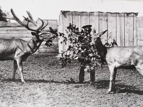 Харьковский зоопарк в начале XX века