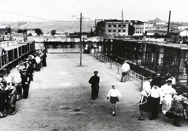 Харьковский зоопарк, 1920-е годы