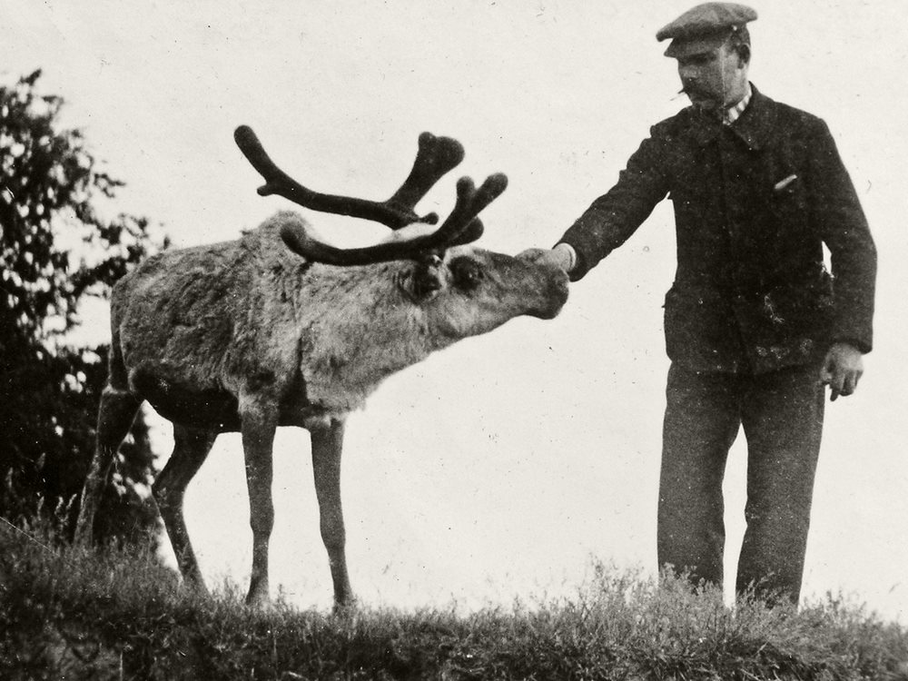 История Харьковского зоопарка: от аквариума — до глобальной реконструкции фото 5 4