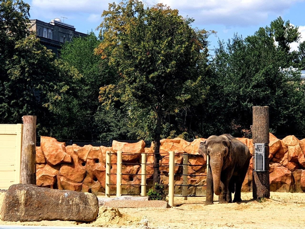 Зоопарк присоединился к "Карте харьковчанина": сколько раз в месяц горожане смогут посещать его бесплатно фото 1