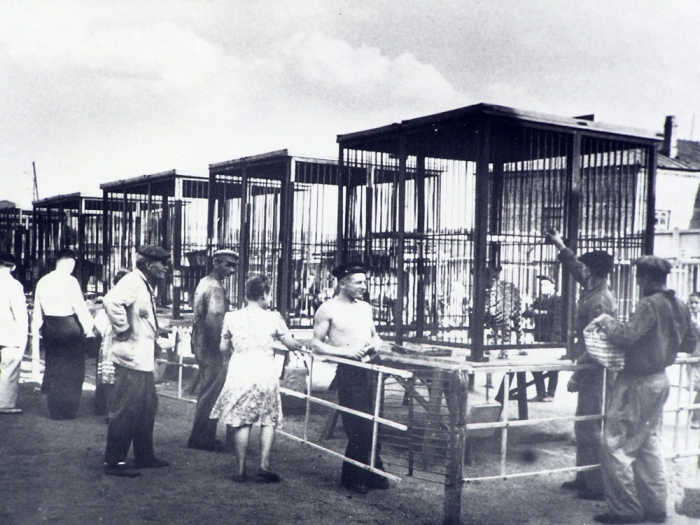 История Харьковского зоопарка: от аквариума — до глобальной реконструкции фото 8 7