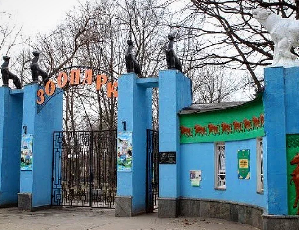 История Харьковского зоопарка: от аквариума — до глобальной реконструкции фото 10 9