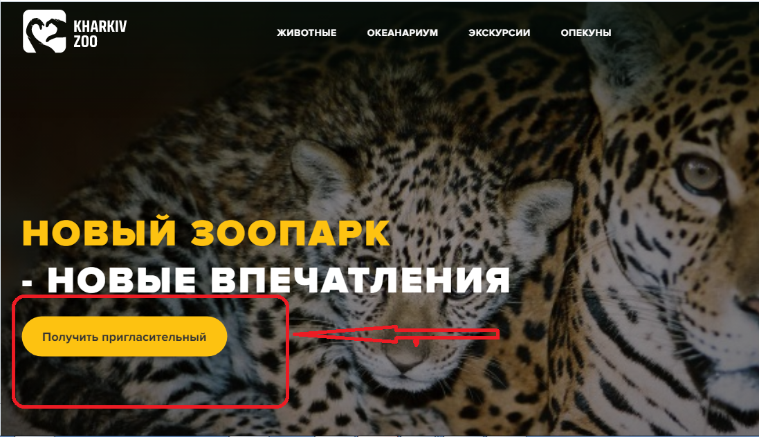 .Онлайн и через терминал: в Харьковском зоопарке открыли регистрацию на посещение фото