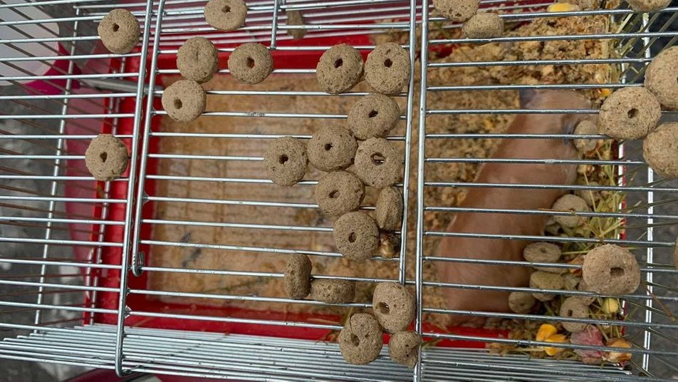 Фото Александра Севрюкова