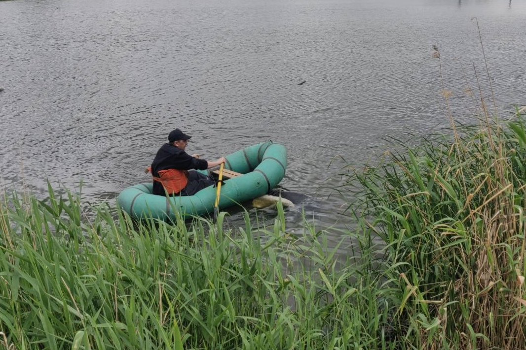 Фото: ГСЧС Украины в Харьковской области