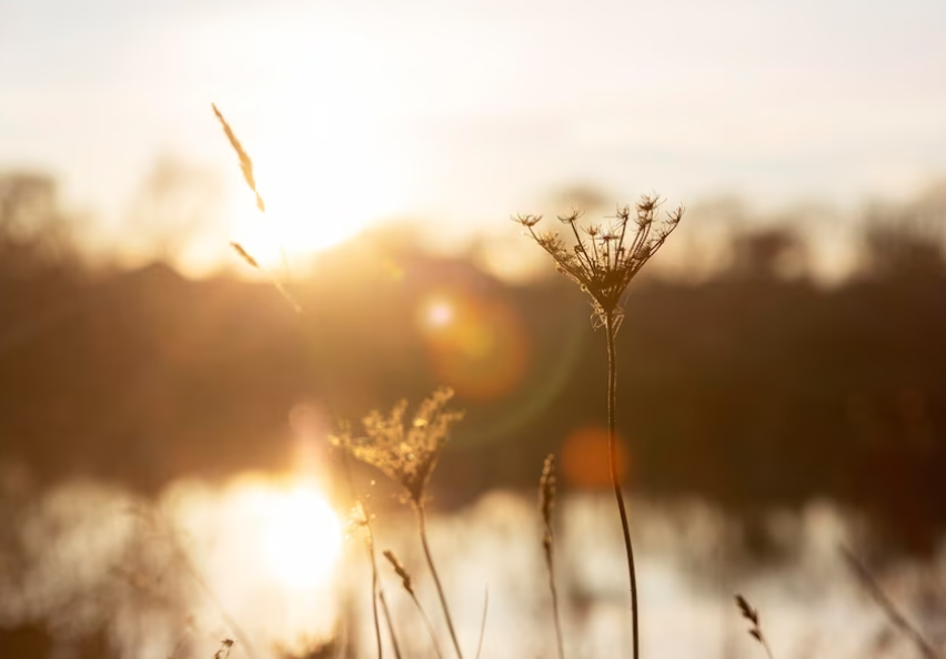 День весеннего равноденствия 2023. Фото: freepik