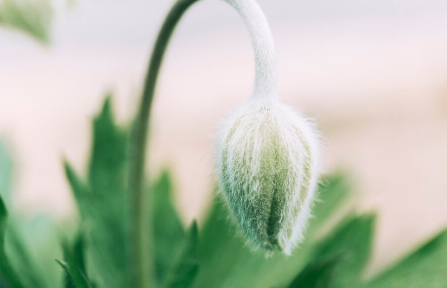 День весеннего равноденствия 2023. Фото: freepik