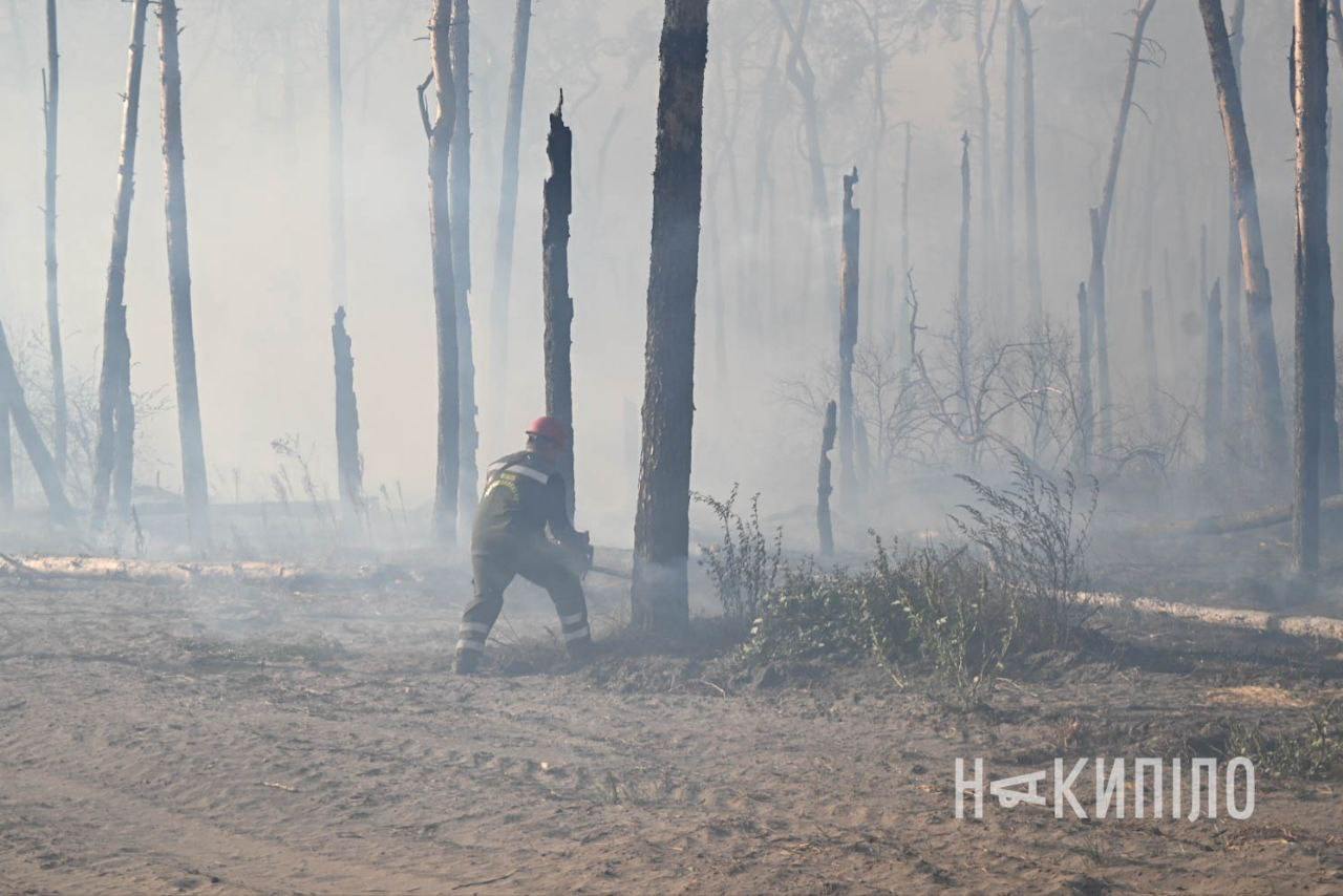 У районі Журавлівського гідропарку горить ліс, транспорт пускають у об'їзд.