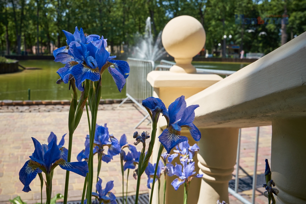 В Центральном парке Харькова готовят к открытию озеро.