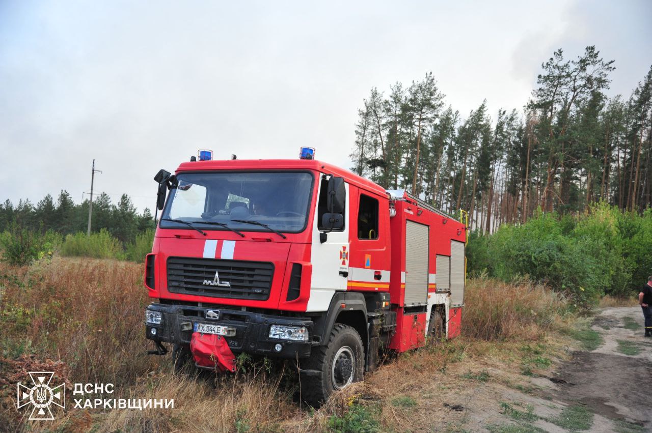 Під Балаклією рятувальники борються із лісовою пожежею.