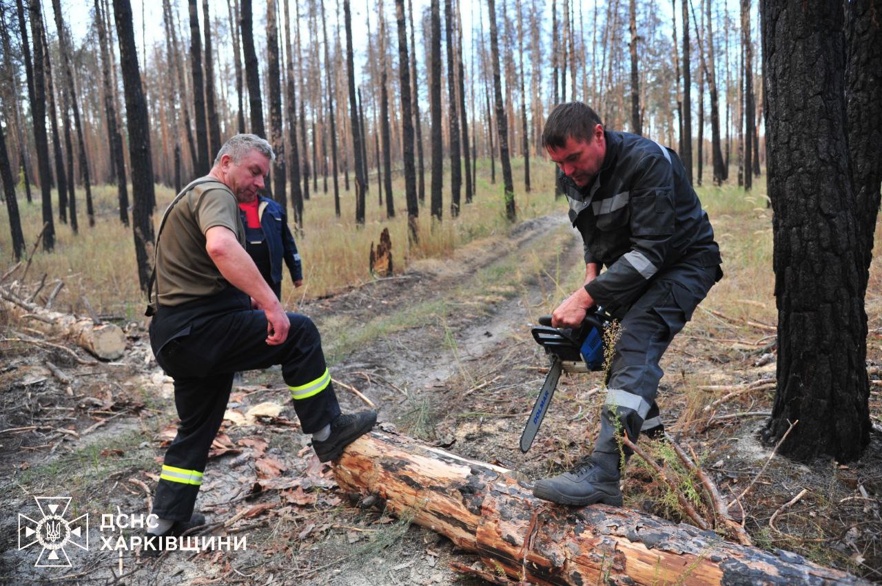 Під Балаклією рятувальники борються із лісовою пожежею.