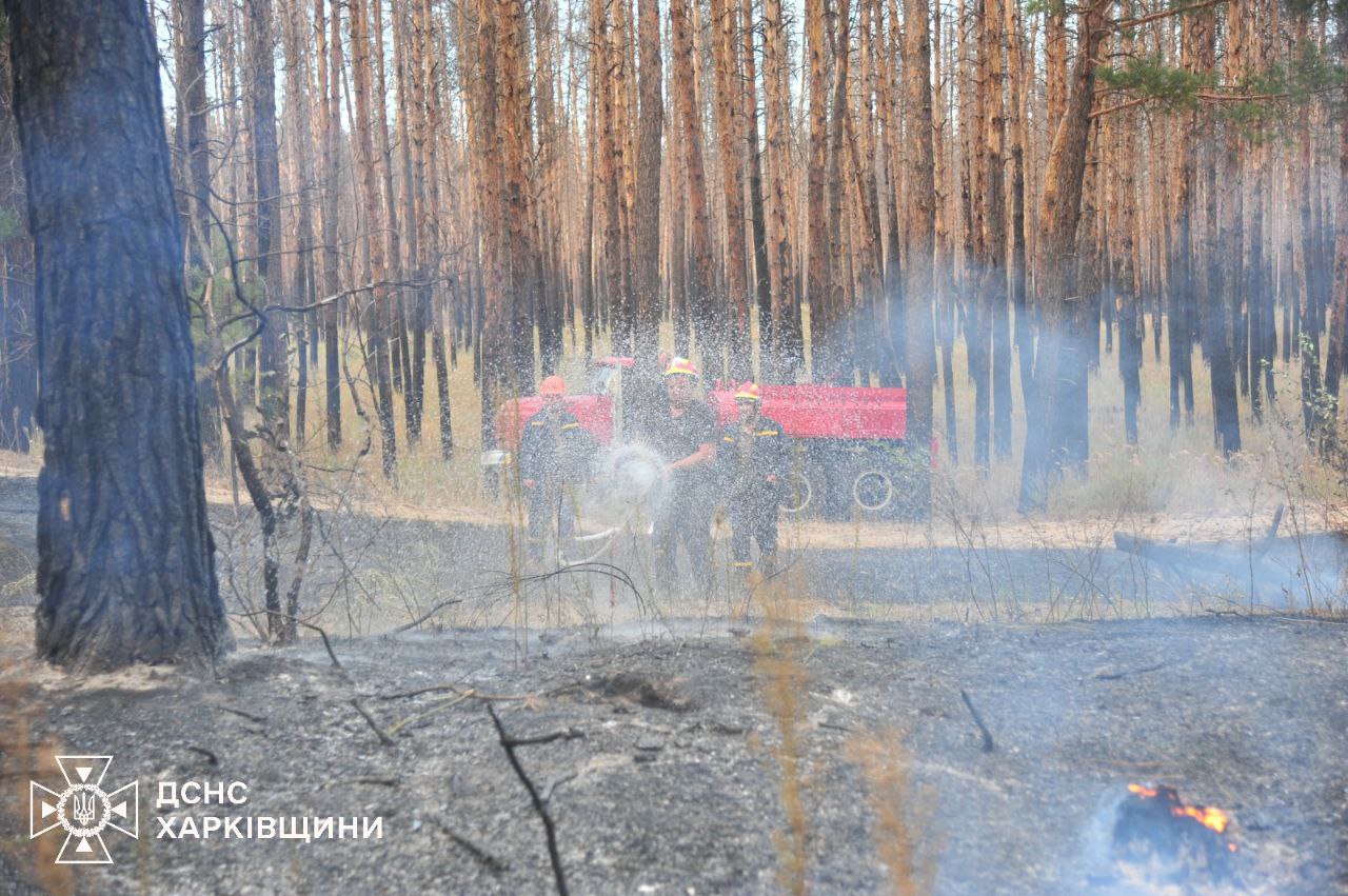 Під Балаклією рятувальники борються із лісовою пожежею.