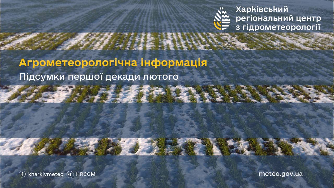 Грунт промерз до 20 сантиметрів: який урожай очікувати навесні в Харківській області фото 1