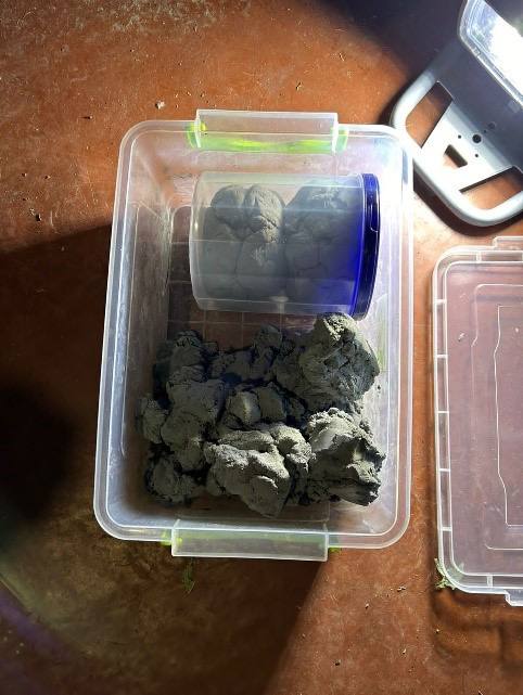 У Харкові затримали диверсанта.