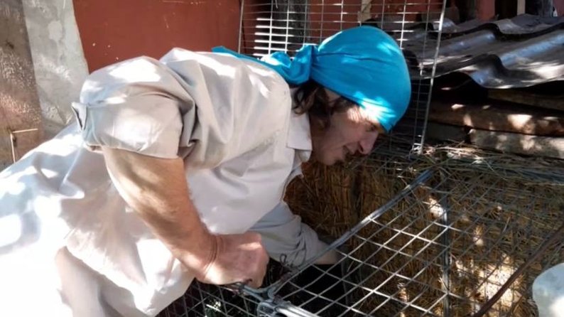 Харьковский бабак-синоптик Тимка пережил оккупацию.