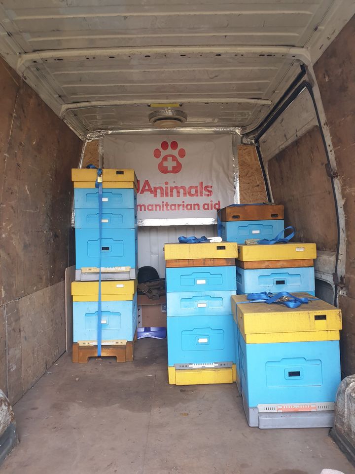 Бджіл із Харківської області евакуювали під Львів.