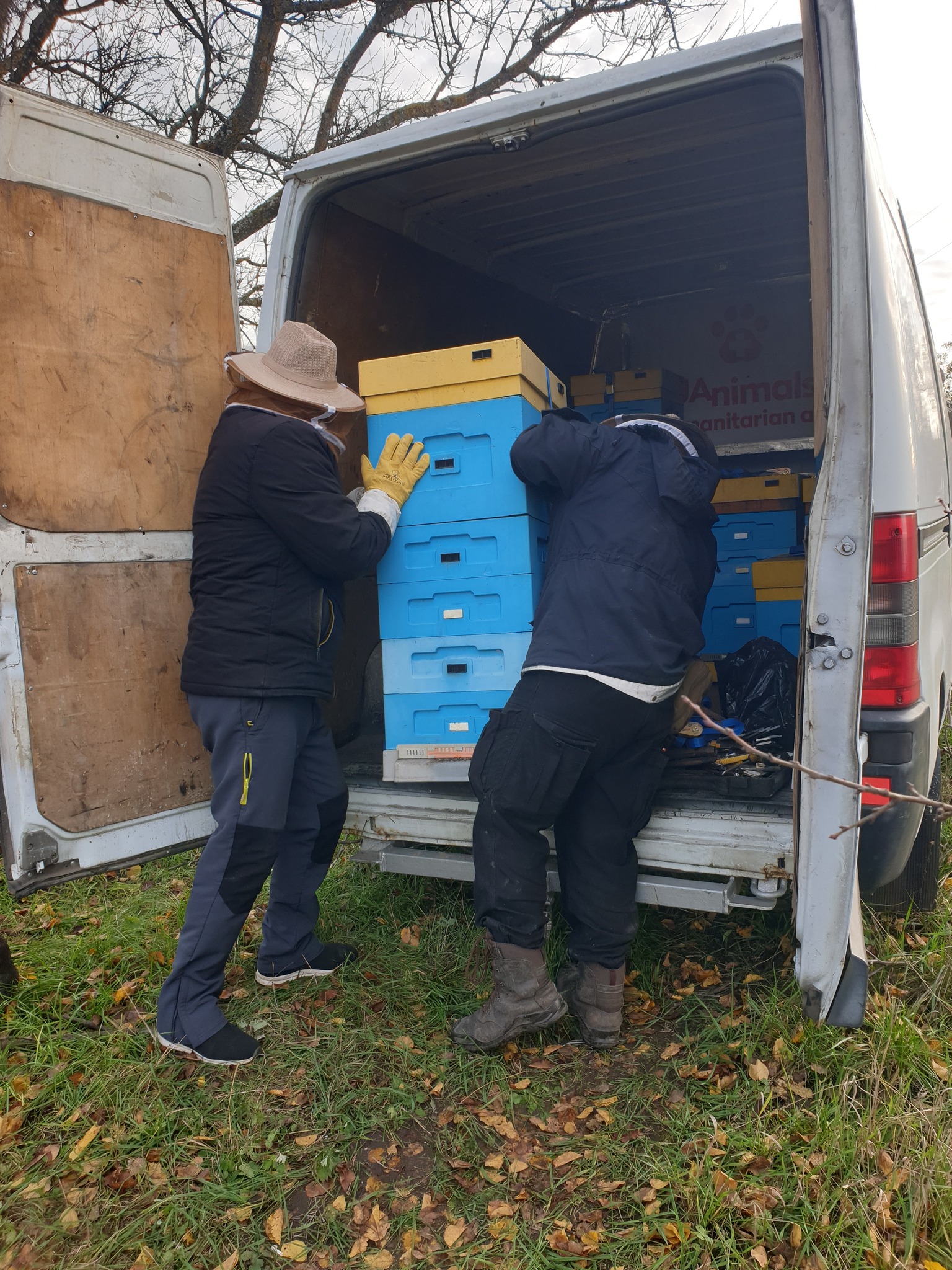 Бджіл із Харківської області евакуювали під Львів.