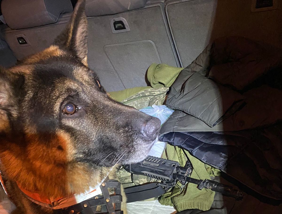 Під час в'їзду до Харкова на блокпостах затримали кілька автомобілів із гранатами.