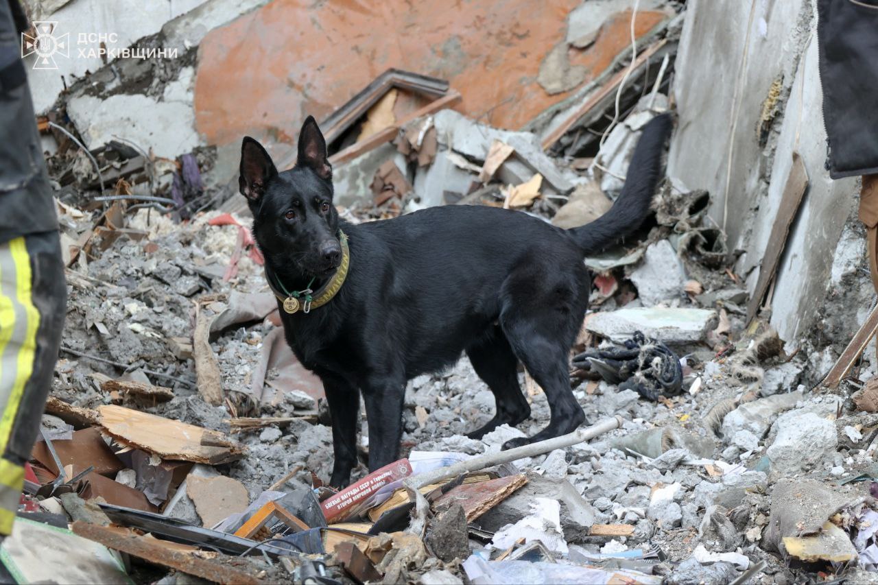 Трое погибших, среди них двое детей: на Салтовке завершили разбор завалов после обстрела многоэтажки.