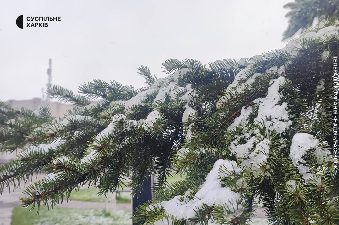 Харьков в конце апреля засыпало снегом.