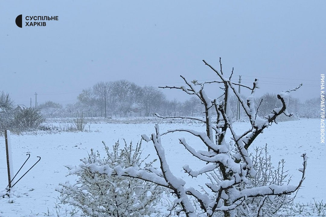 Харьков в конце апреля засыпало снегом.