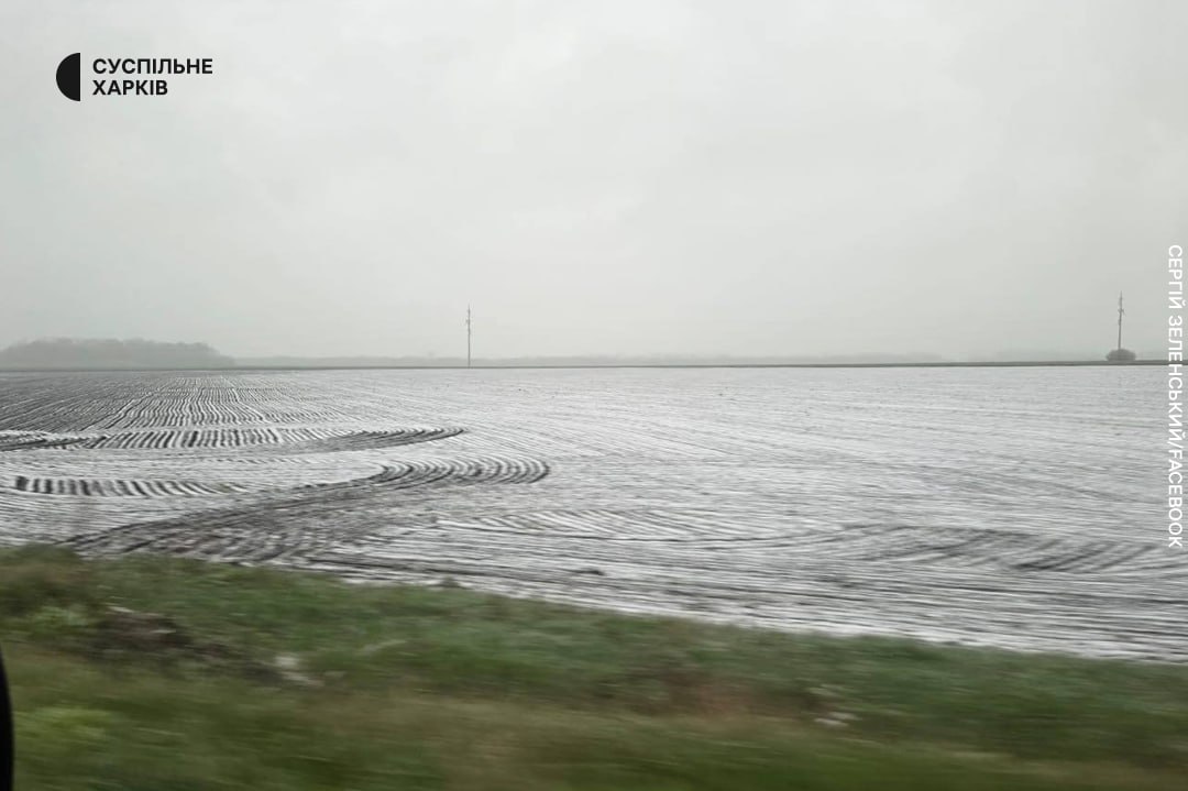 Харьков в конце апреля засыпало снегом.