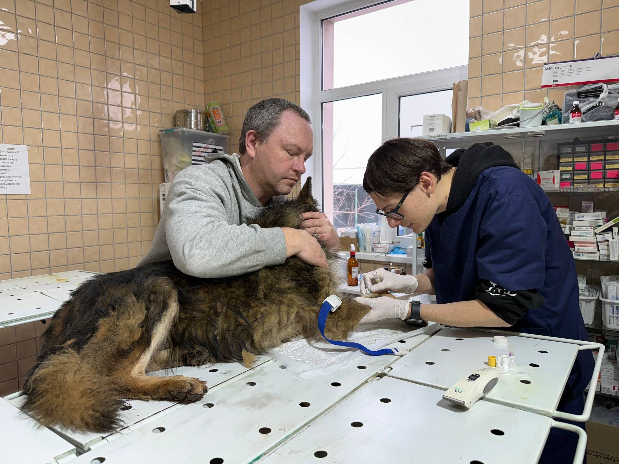 В Харькове спасли собаку, которая провалилась в подвал многоэтажки.
