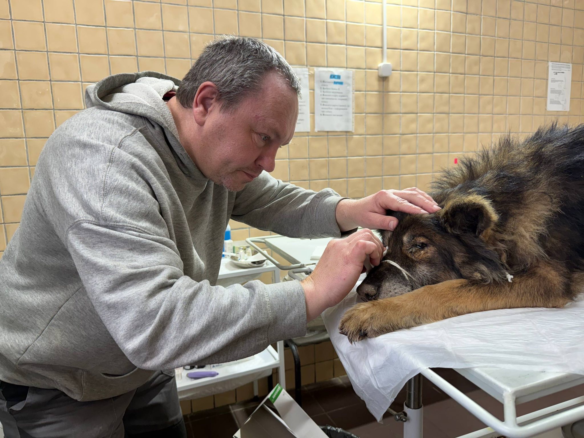 В Харькове спасли собаку, которая провалилась в подвал многоэтажки.