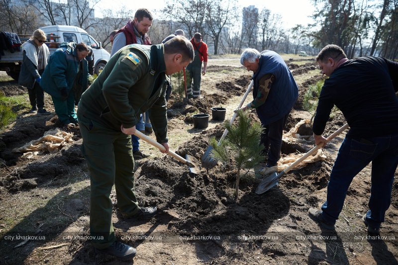 У Харкові висадять понад 20 тисяч дерев.