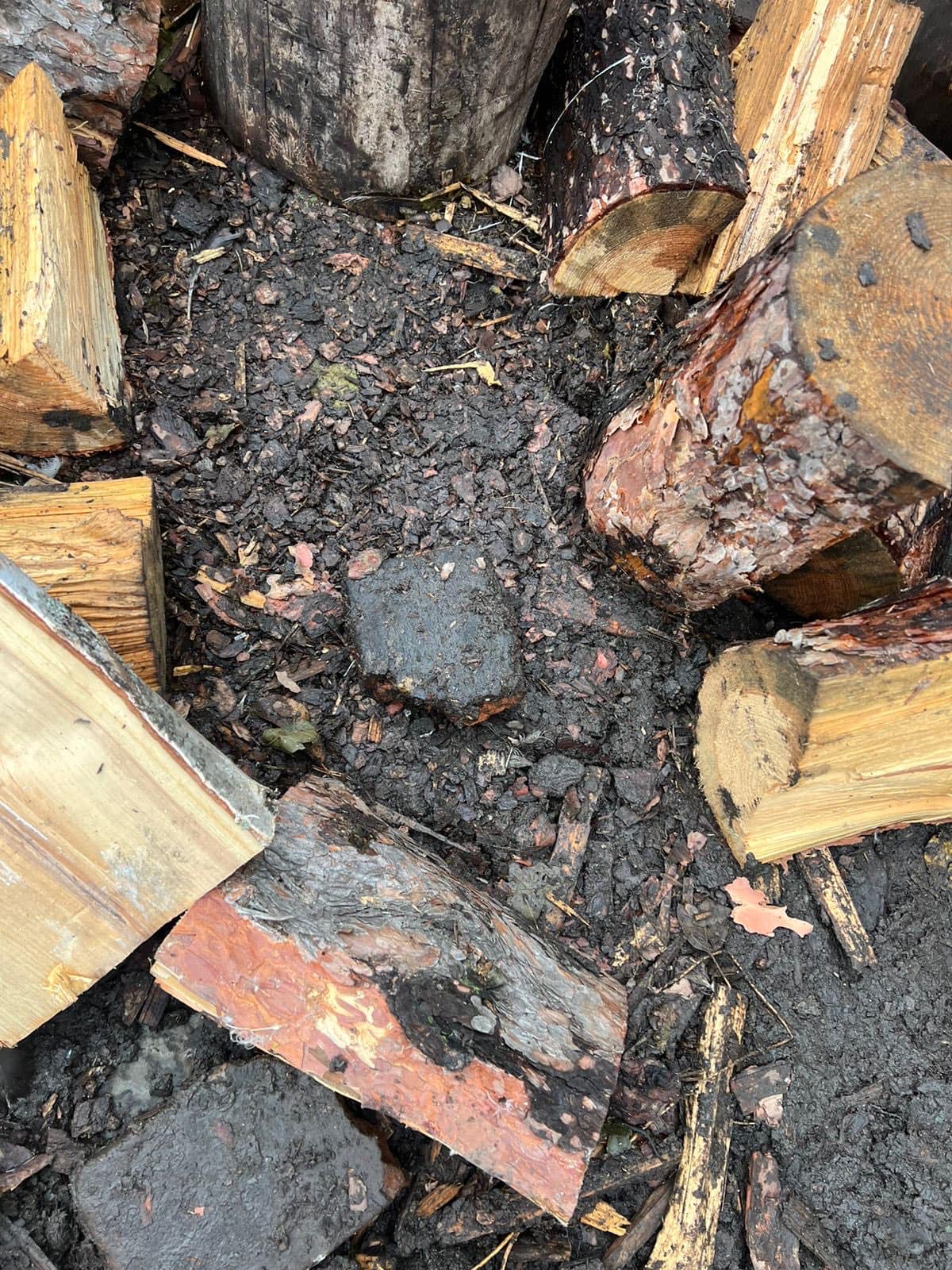 В Харьковской области подросток изнасиловал и сжег свою 15-летнюю соседку.