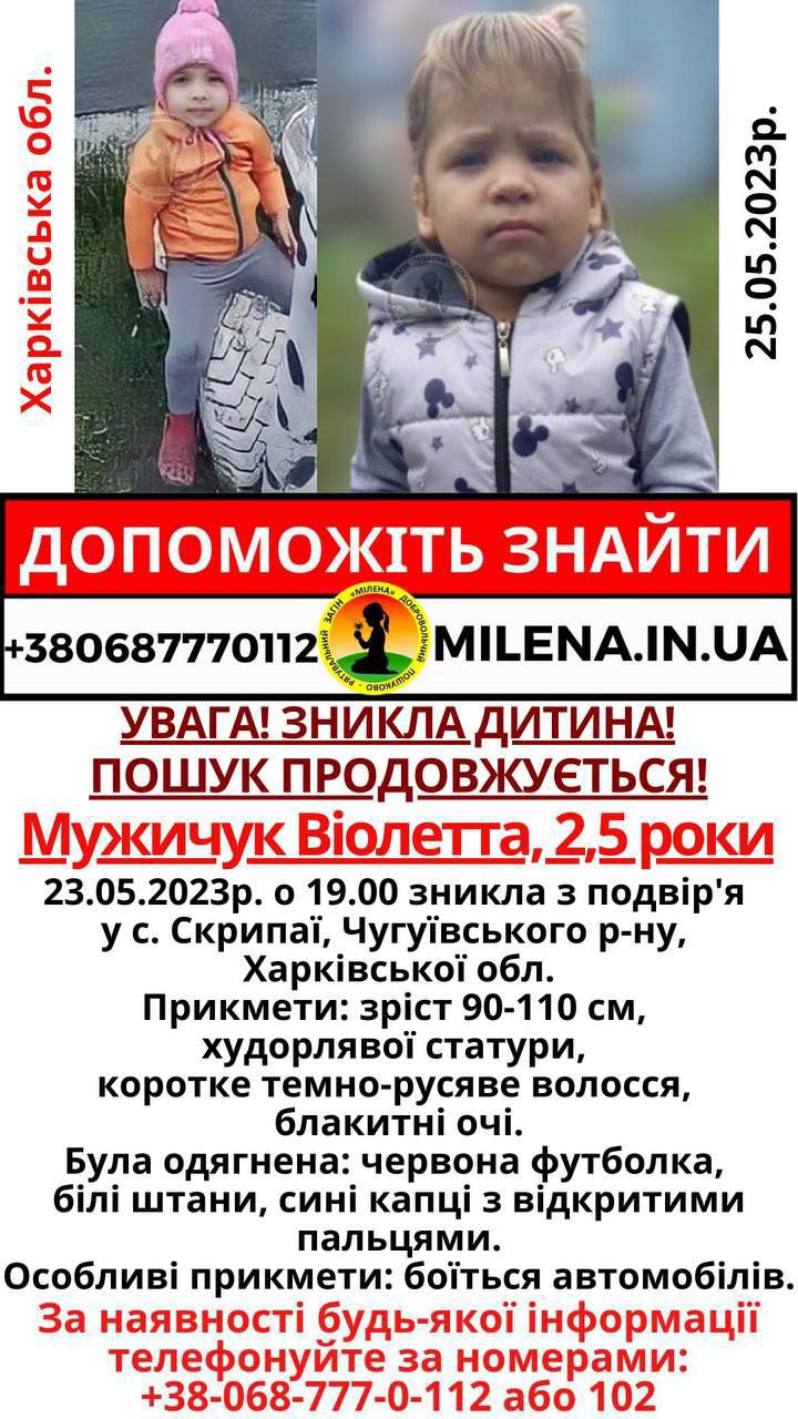 Поиски продолжаются: пропавшую в Чугуевском районе двухлетнюю девочку ищут третьи сутки фото 1